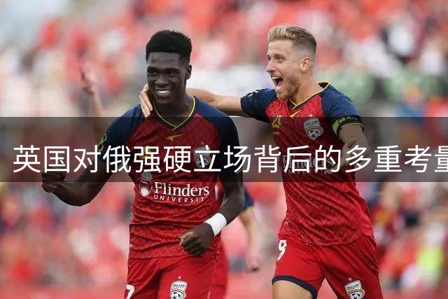 英国对俄强硬立场背后的多重考量
